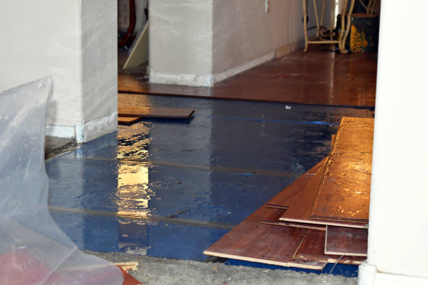 Professional Burst Pipe Cleanup technician working in Stirling, NJ
